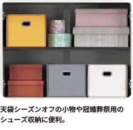天袋